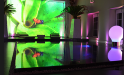 Piscine avec rétroprojecteur sur le mur du fond pour un rendu magnifique se reflétant sur la surface de l'eau