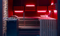 Sauna traditionnel avec façade vitrée (14)